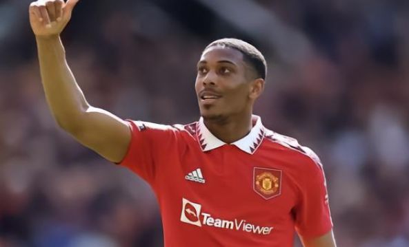 的青年才俊 的青年才俊